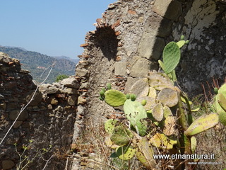 n Michele Forza Agro-13-08-2020 14